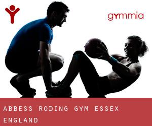 Abbess Roding gym (Essex, England)