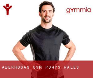 Aberhosan gym (Powys, Wales)