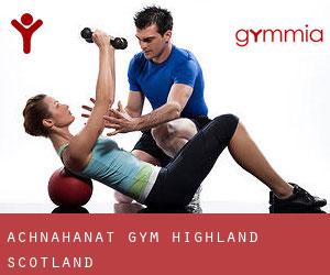 Achnahanat gym (Highland, Scotland)