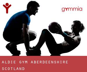 Aldie gym (Aberdeenshire, Scotland)