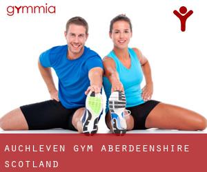 Auchleven gym (Aberdeenshire, Scotland)