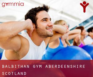 Balbithan gym (Aberdeenshire, Scotland)
