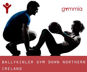 Ballykinler gym (Down, Northern Ireland)