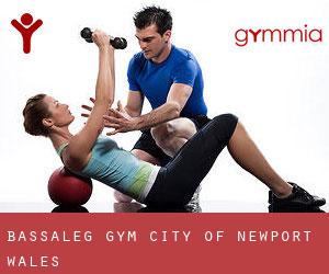Bassaleg gym (City of Newport, Wales)