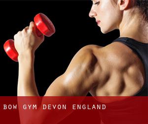 Bow gym (Devon, England)