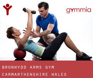 Bronwydd Arms gym (Carmarthenshire, Wales)