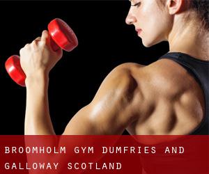 Broomholm gym (Dumfries and Galloway, Scotland)