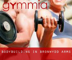 BodyBuilding in Bronwydd Arms