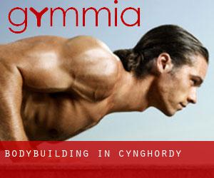 BodyBuilding in Cynghordy