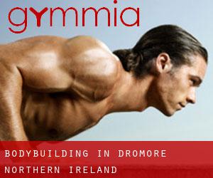 BodyBuilding in Dromore (Northern Ireland)