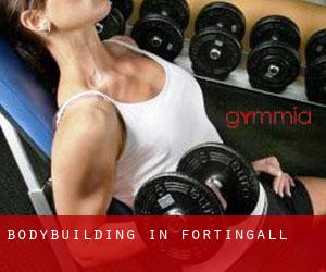 BodyBuilding in Fortingall