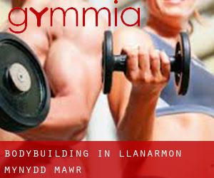 BodyBuilding in Llanarmon-Mynydd-mawr