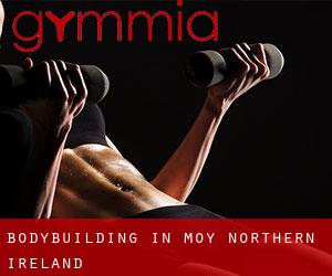 BodyBuilding in Moy (Northern Ireland)
