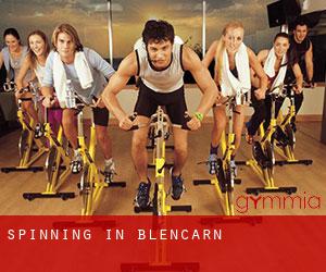 Spinning in Blencarn