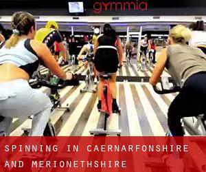 Spinning in Caernarfonshire and Merionethshire