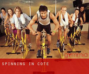 Spinning in Cote