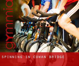 Spinning in Cowan Bridge