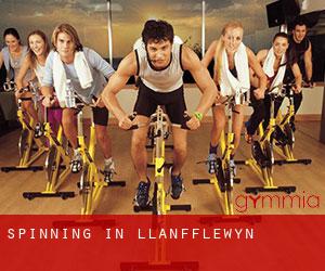 Spinning in Llanfflewyn