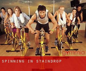 Spinning in Staindrop