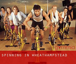 Spinning in Wheathampstead