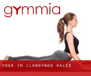 Yoga in Llangynog (Wales)
