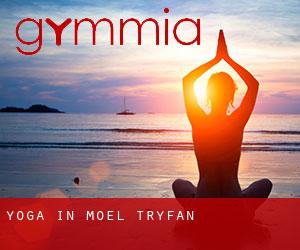 Yoga in Moel-tryfan