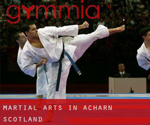 Martial Arts in Acharn (Scotland)