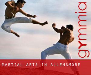 Martial Arts in Allensmore