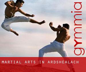 Martial Arts in Ardshealach