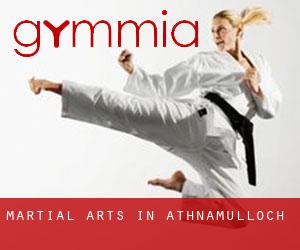 Martial Arts in Athnamulloch