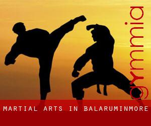 Martial Arts in Balaruminmore