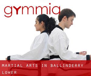 Martial Arts in Ballinderry Lower
