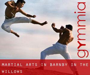 Martial Arts in Barnby in the Willows