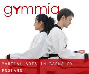 Martial Arts in Barnsley (England)