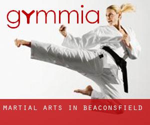 Martial Arts in Beaconsfield