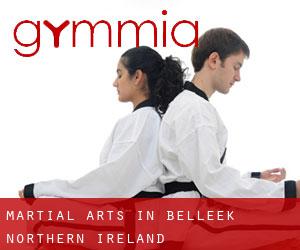 Martial Arts in Belleek (Northern Ireland)