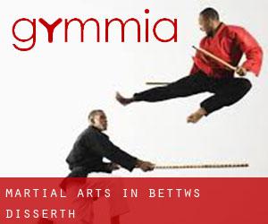 Martial Arts in Bettws Disserth