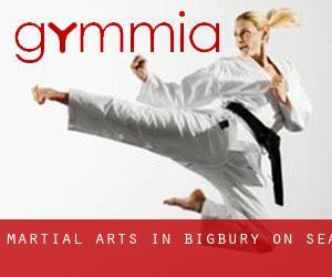 Martial Arts in Bigbury on Sea