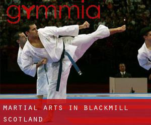 Martial Arts in Blackmill (Scotland)