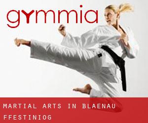 Martial Arts in Blaenau-Ffestiniog