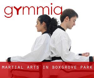 Martial Arts in Boxgrove Park