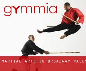 Martial Arts in Broadway (Wales)