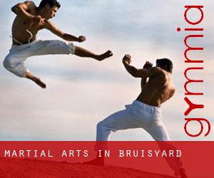 Martial Arts in Bruisyard