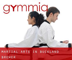 Martial Arts in Buckland Brewer