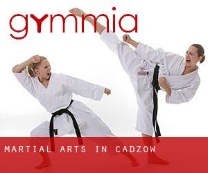 Martial Arts in Cadzow