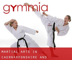 Martial Arts in Caernarfonshire and Merionethshire