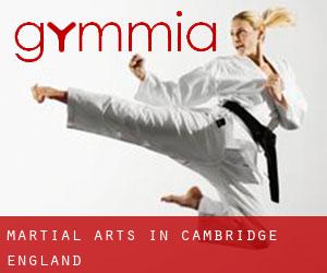 Martial Arts in Cambridge (England)