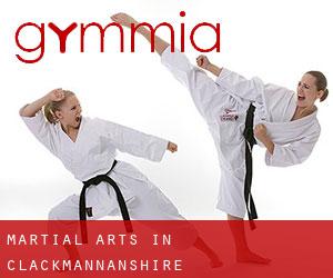 Martial Arts in Clackmannanshire