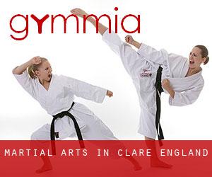 Martial Arts in Clare (England)