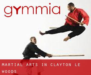 Martial Arts in Clayton-le-Woods